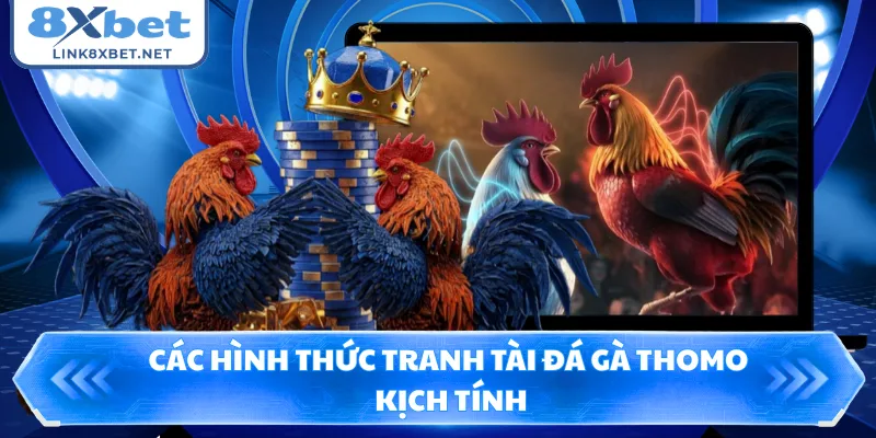Các hình thức tranh tài đá gà Thomo kịch tính