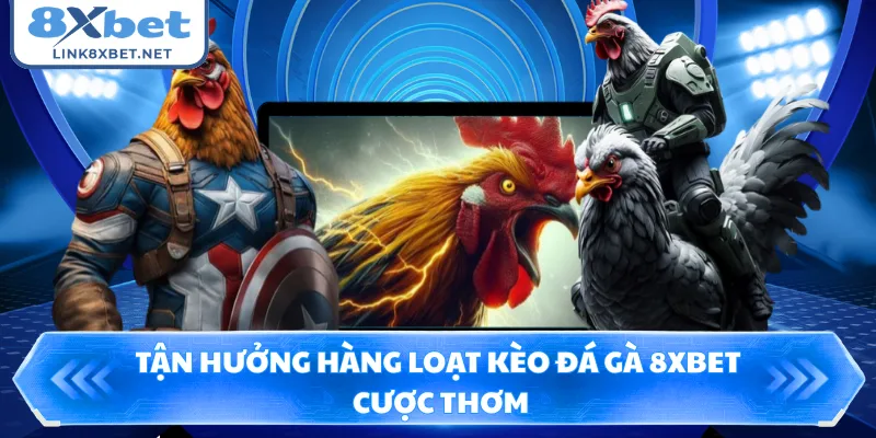Tận hưởng hàng loạt kèo đá gà 8XBET cược thơm